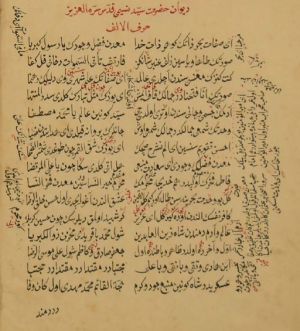 İmadəddin Nəsiminin "Divan"ının iki nüsxəsinin surəti əldə edilib