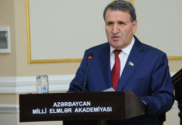 İsa Həbibbəyli: "Sərəncam Nəsiminin dünya ədəbiyyatında tutduğu mövqeyi göstərməyə meydan açır"